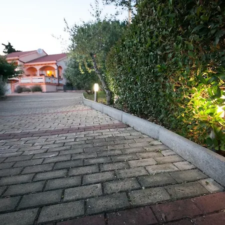 Antonio * Dracevac Ninski