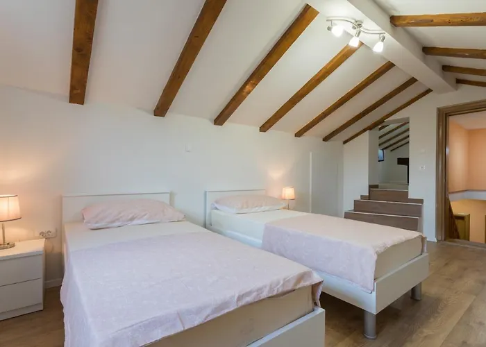 Antonio * Dracevac Ninski