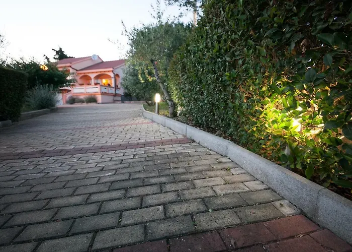 Antonio * Dracevac Ninski